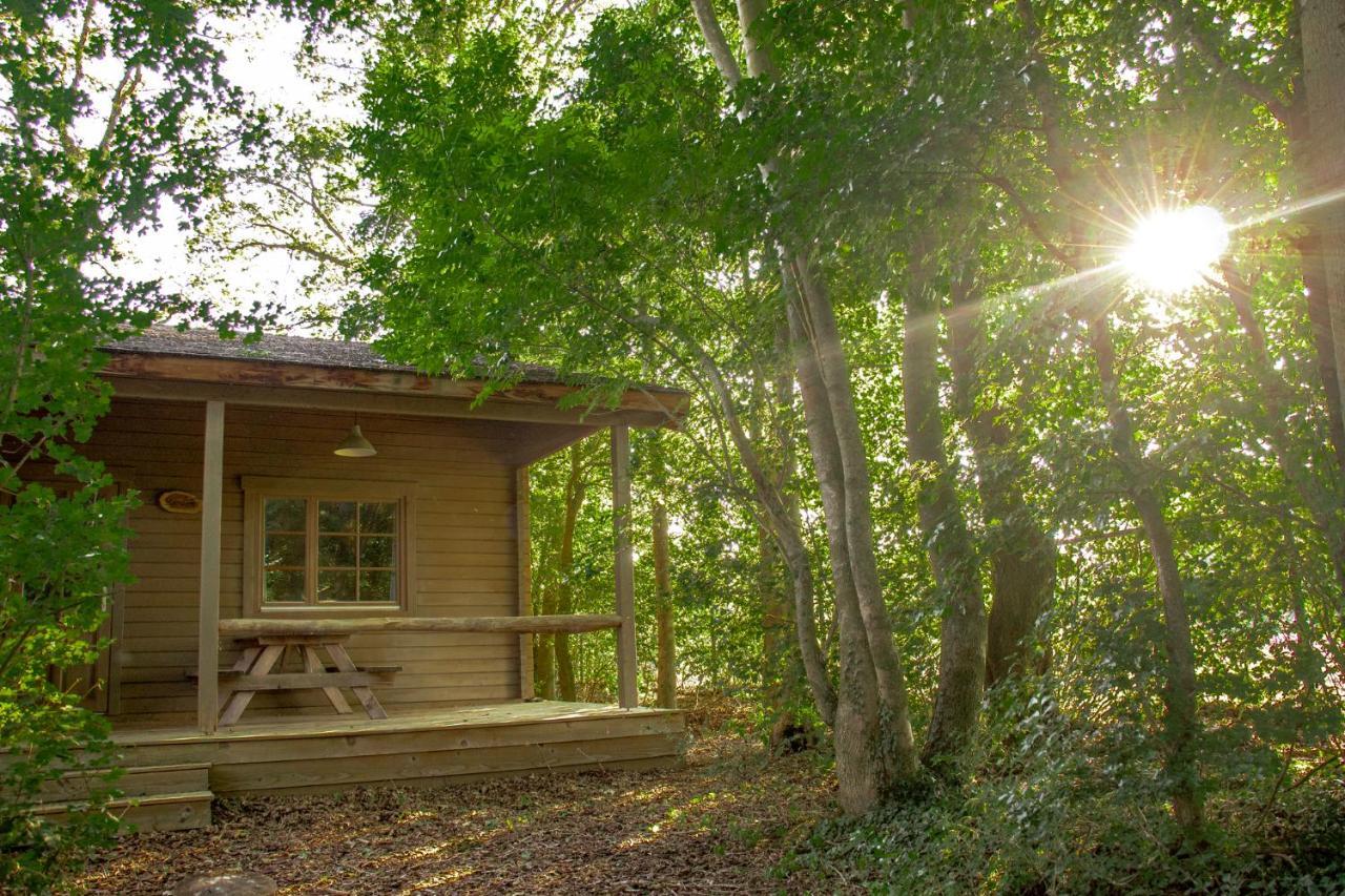 Het Hilkensberg Park Villa Broekhuizen  Ngoại thất bức ảnh